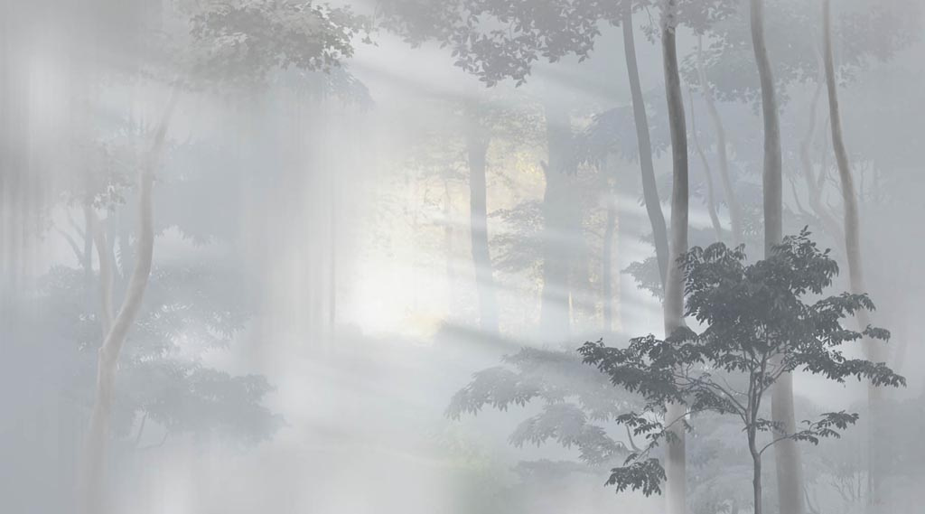 Фотообои Солнечный туманный лес