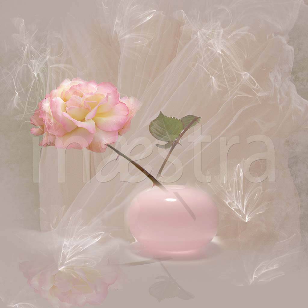 Фотообои Нежная роза в вазе